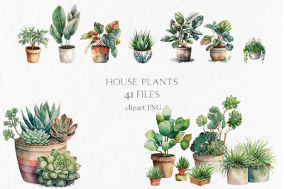 House plants Watercolor Clipart PNG