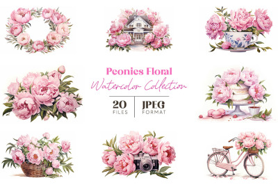 Peonies Floral