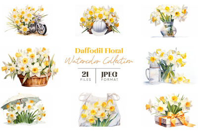 Daffodil Floral