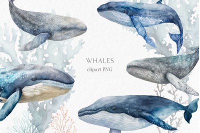 Whales Watercolor Clipart PNG