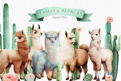 Llamas and alpacas Watercolor Clipart PNG