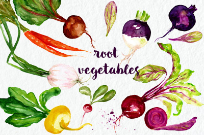 Vegetables. Watercolor Clip Art
