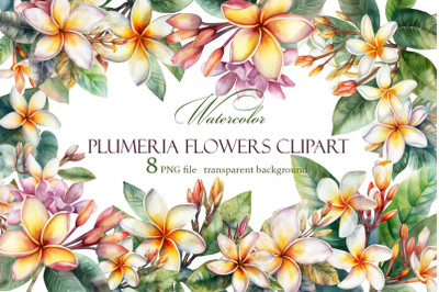 White plumeria flowers. Watercolor clipart