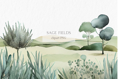Sage fields Watercolor Clipart PNG