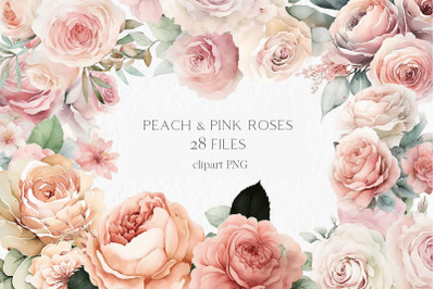 Peach and pink roses Watercolor Clipart PNG