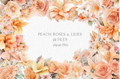 Peach roses and lilies Watercolor Clipart PNG