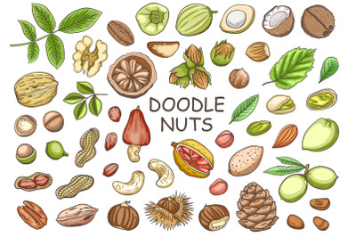 Doodle Nuts Vector Design Kit