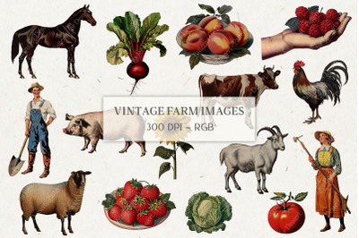 Vintage Farm Clip Art