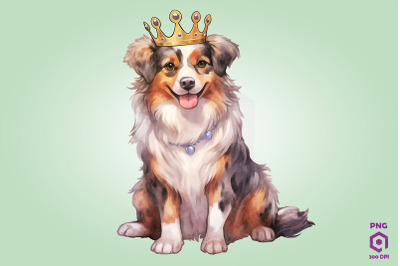 Australian Shepherd Dog Wearing Crown