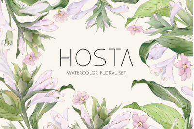 HOSTA watercolor floral set