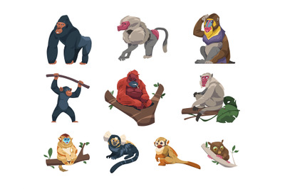 Monkeys collection. Cartoon ape characters in different poses, species