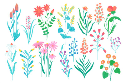 Field flowers collection. Summer and autumn flora, cartoon floral gard