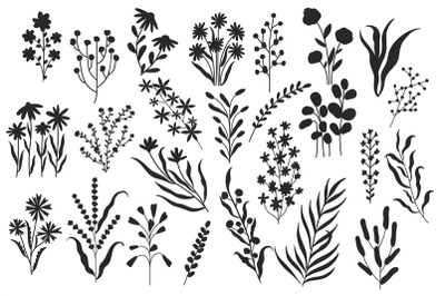 Wild flowers silhouette. Minimalistic floral botanical elements, natur