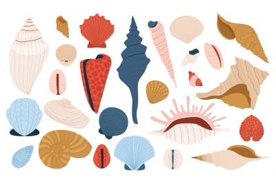 Sea shells. Cartoon colorful marine shells, nautical marine shellfish,