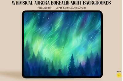 Beautiful Aurora Borealis Night