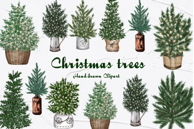 Christmas Tree Watercolor Clipart