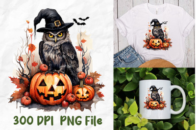 Halloween Witch Grumpy Owl Scary Pumpkin