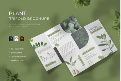 Plant - Trifold Brochure