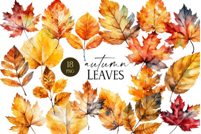 Autumn leaves clipart