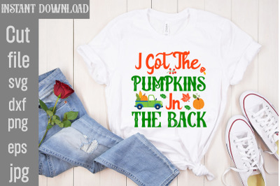 I Got The Pumpkins In The Back SVG cut file,Fall Porch Sign Svg Bundle