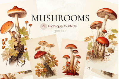 Vintage Mushroom Prints