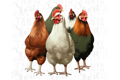 Farm Life Png Graphic with Chicken