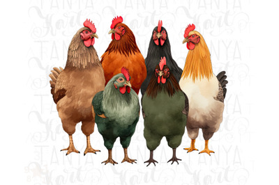 Chicken Graphic Digital Downloads: Sublimation Print for Chicken Lover