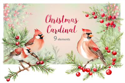 Watercolor Christmas Cardinal Bundle | PNG cliparts