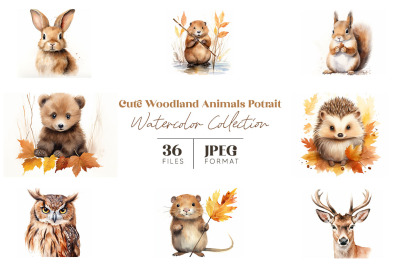 Cute Woodland Animals Portrait