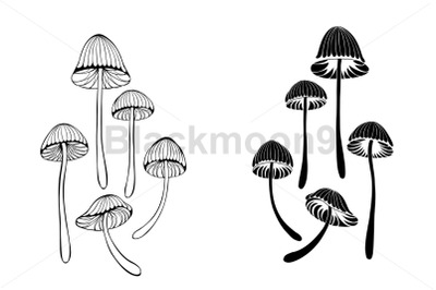 Set of mushrooms toadstools