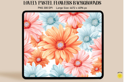 Daisies Pastel Colors Backgrounds