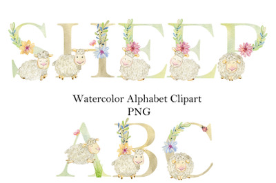 Watercolor alphabet with sheeps.