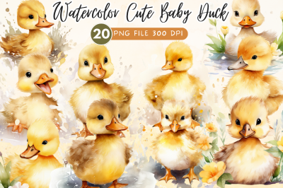 Cute Baby Duck Watercolor