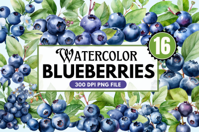 Fresh Blueberries Watercolor Clipart