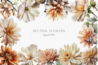 Neutral flower Watercolor Clipart PNG
