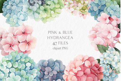Pink &amp; blue hydrangea flower Watercolor Clipart PNG