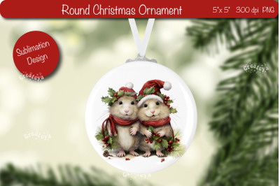 Christmas ornament Sublimation Watercolor Christmas Baby Animal PNG