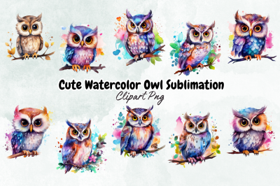 Cute Watercolor Owl Sublimation Clipart