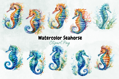 Watercolor Seahorse Clipart