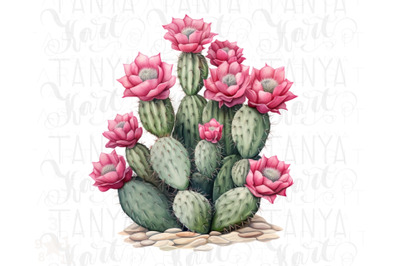 Watercolor Cactus Sublimation Download