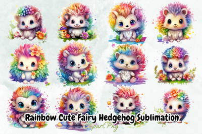 Rainbow Cute Fairy Hedgehog Sublimation Clipart