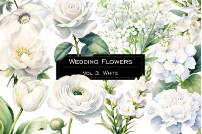 Watercolor white wedding flowers clipart. Pastel white flower clip art