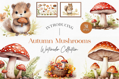 Autumn Mushrooms