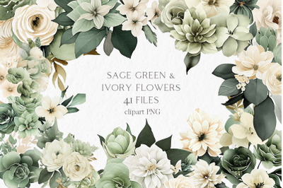 Sage green ivory flowers Watercolor Clipart PNG