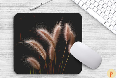 Pampas Grass On Soft Black Background