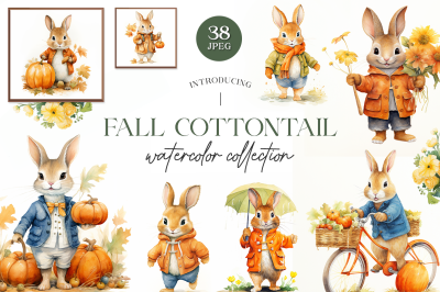 Fall Cottontail