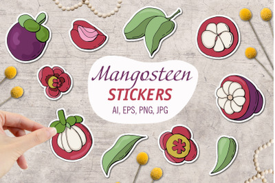 Mangosteen / Printable Stickers Cricut Design