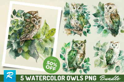 Watercolor Owl Sublimation Clipart Bundle