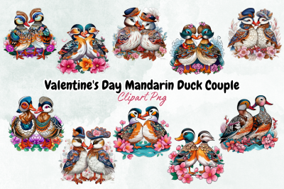 Valentine&#039;s Day Mandarin Duck Couple