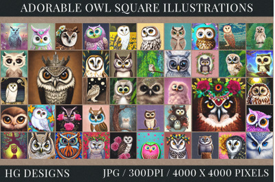 88 Adorable Owl Squares